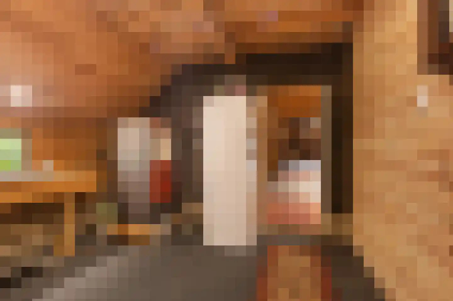 Achterambachtseweg 6 Hendrik-Ido-Ambacht thumbnail 79