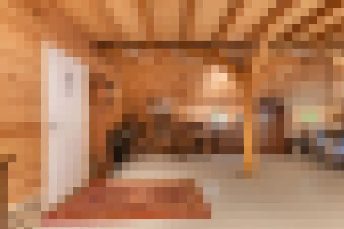 Achterambachtseweg 6 Hendrik-Ido-Ambacht thumbnail 80