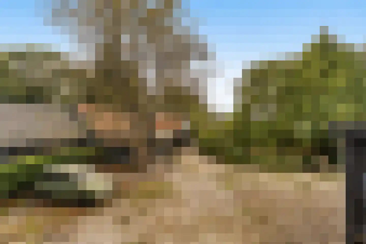 Achterambachtseweg 6 Hendrik-Ido-Ambacht thumbnail 81