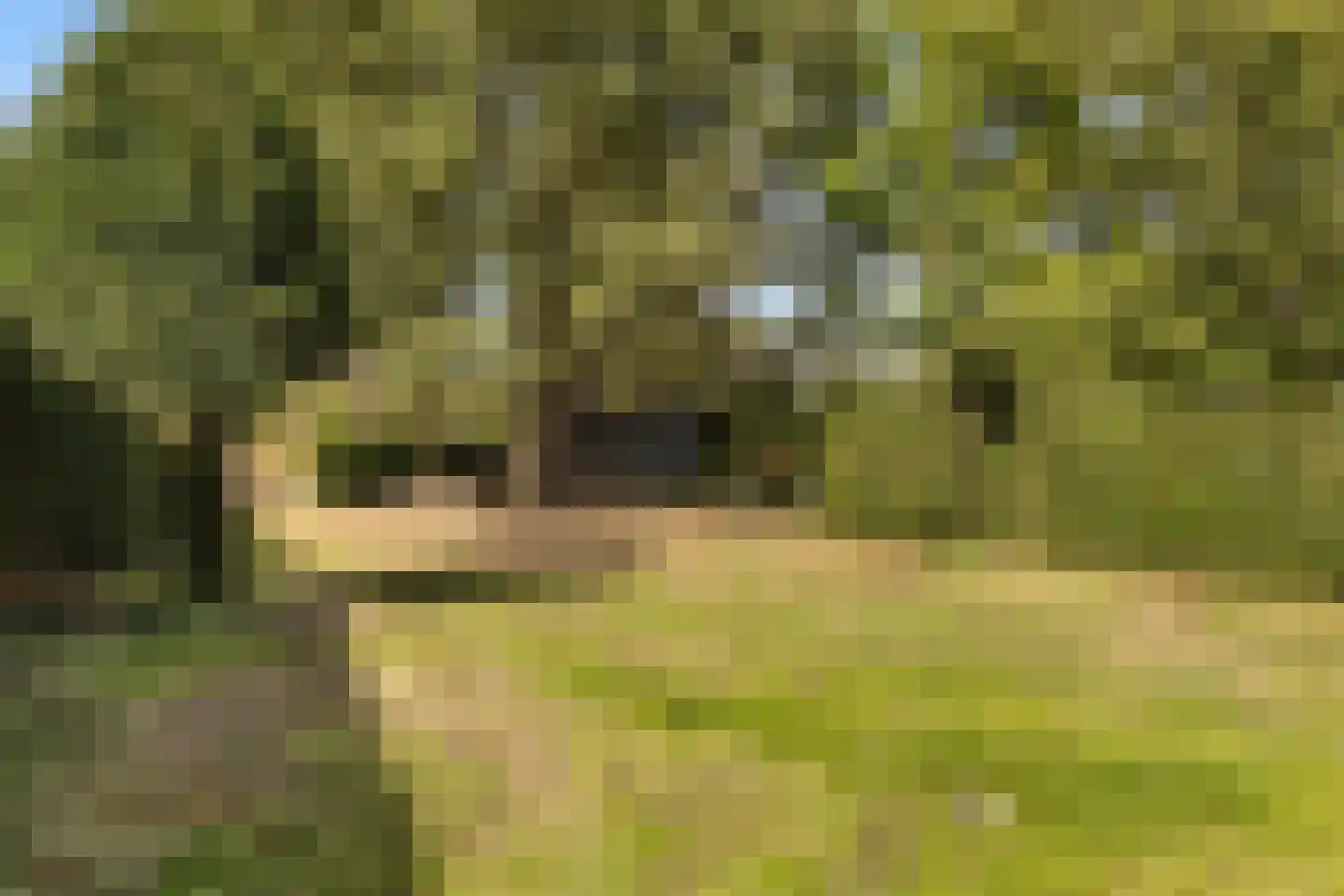 Achterambachtseweg 6 Hendrik-Ido-Ambacht thumbnail 82