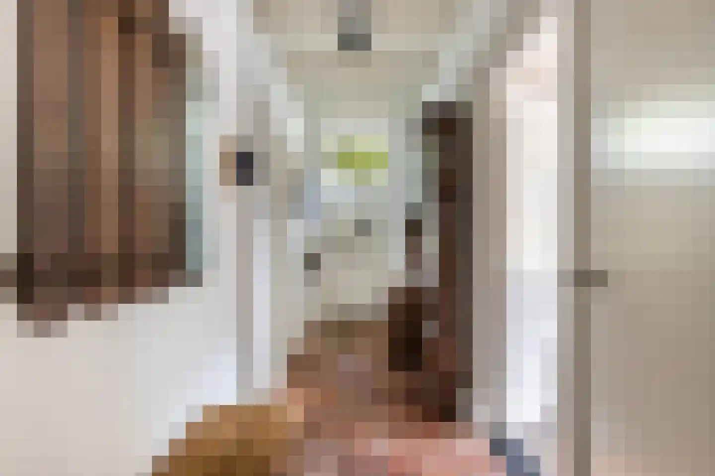 Achterambachtseweg 6 Hendrik-Ido-Ambacht thumbnail 87