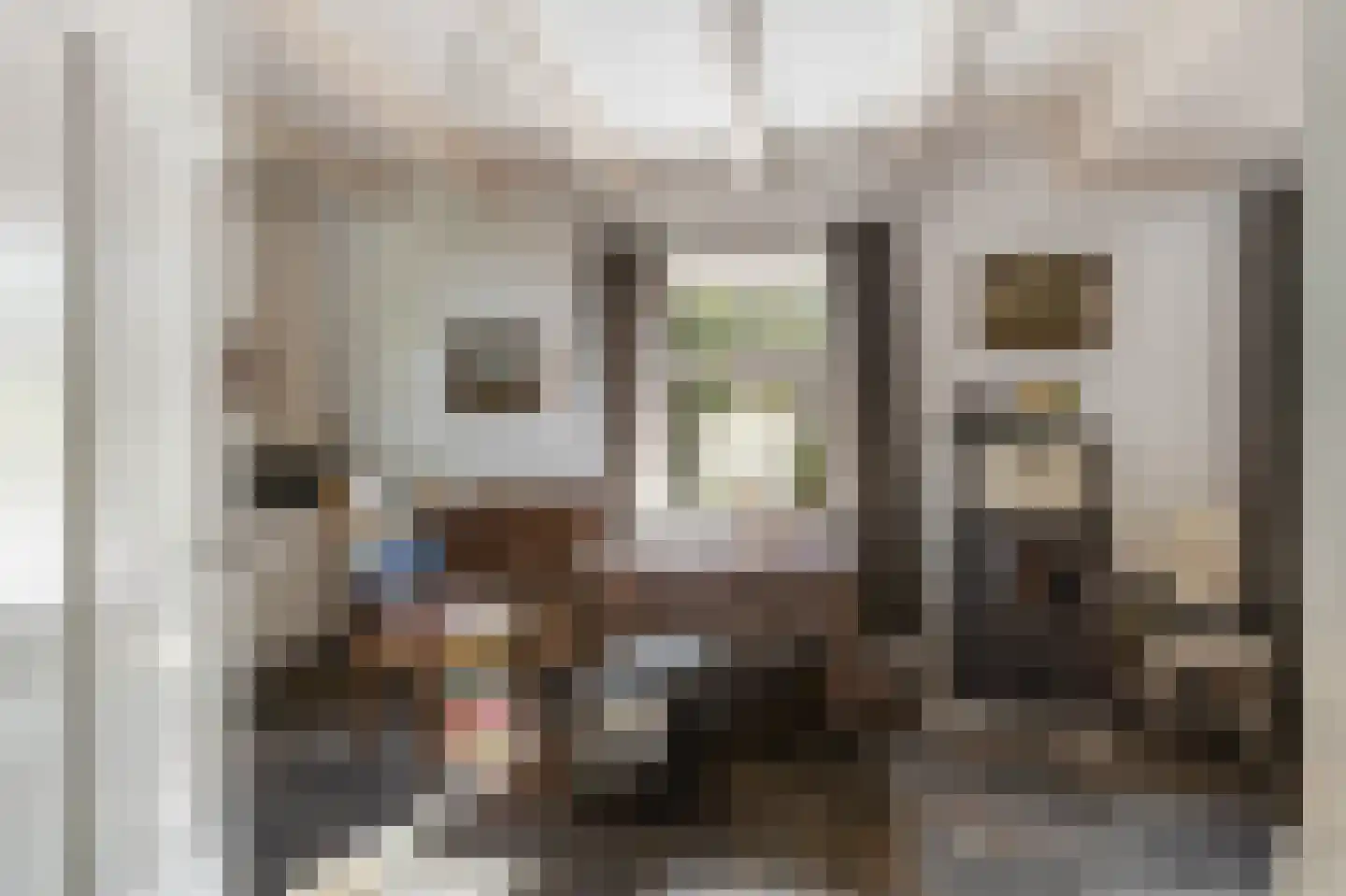 Achterambachtseweg 6 Hendrik-Ido-Ambacht thumbnail 88