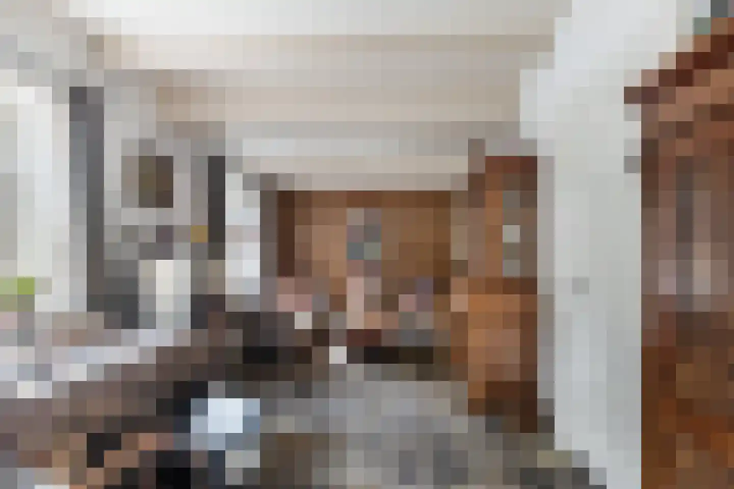 Achterambachtseweg 6 Hendrik-Ido-Ambacht thumbnail 89