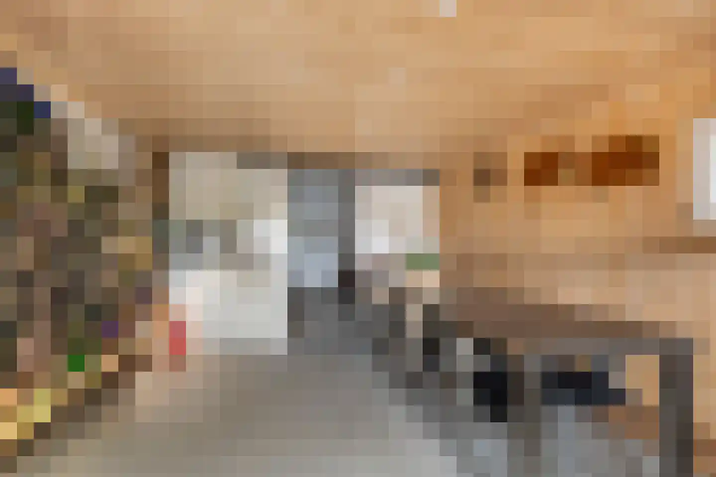 Achterambachtseweg 6 Hendrik-Ido-Ambacht thumbnail 94
