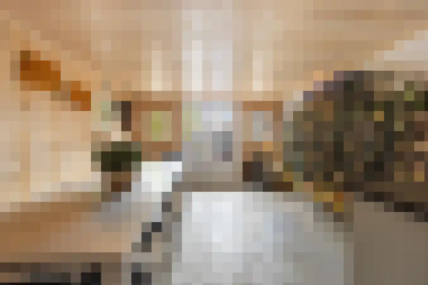 Achterambachtseweg 6 Hendrik-Ido-Ambacht thumbnail 97