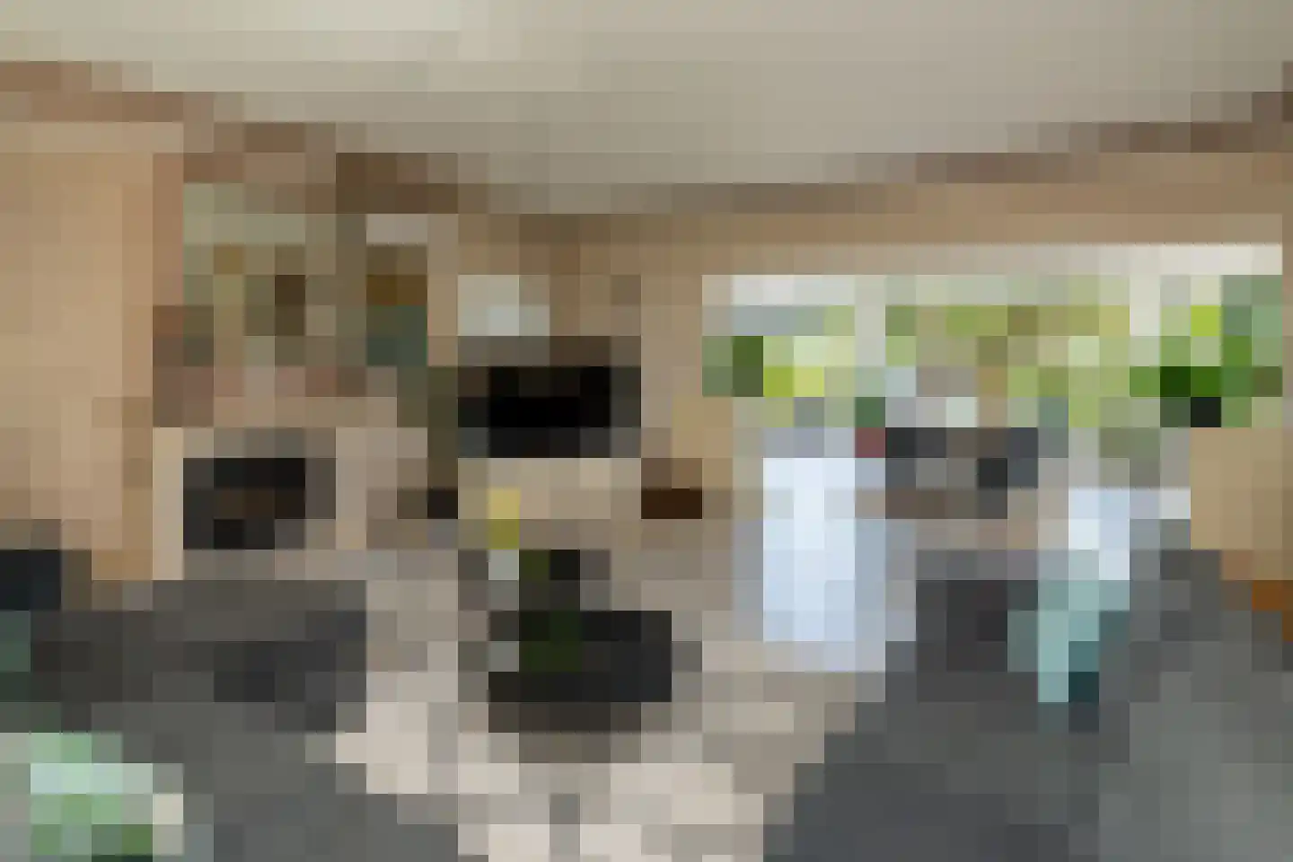 Achterambachtseweg 9 Hendrik-Ido-Ambacht thumbnail 22