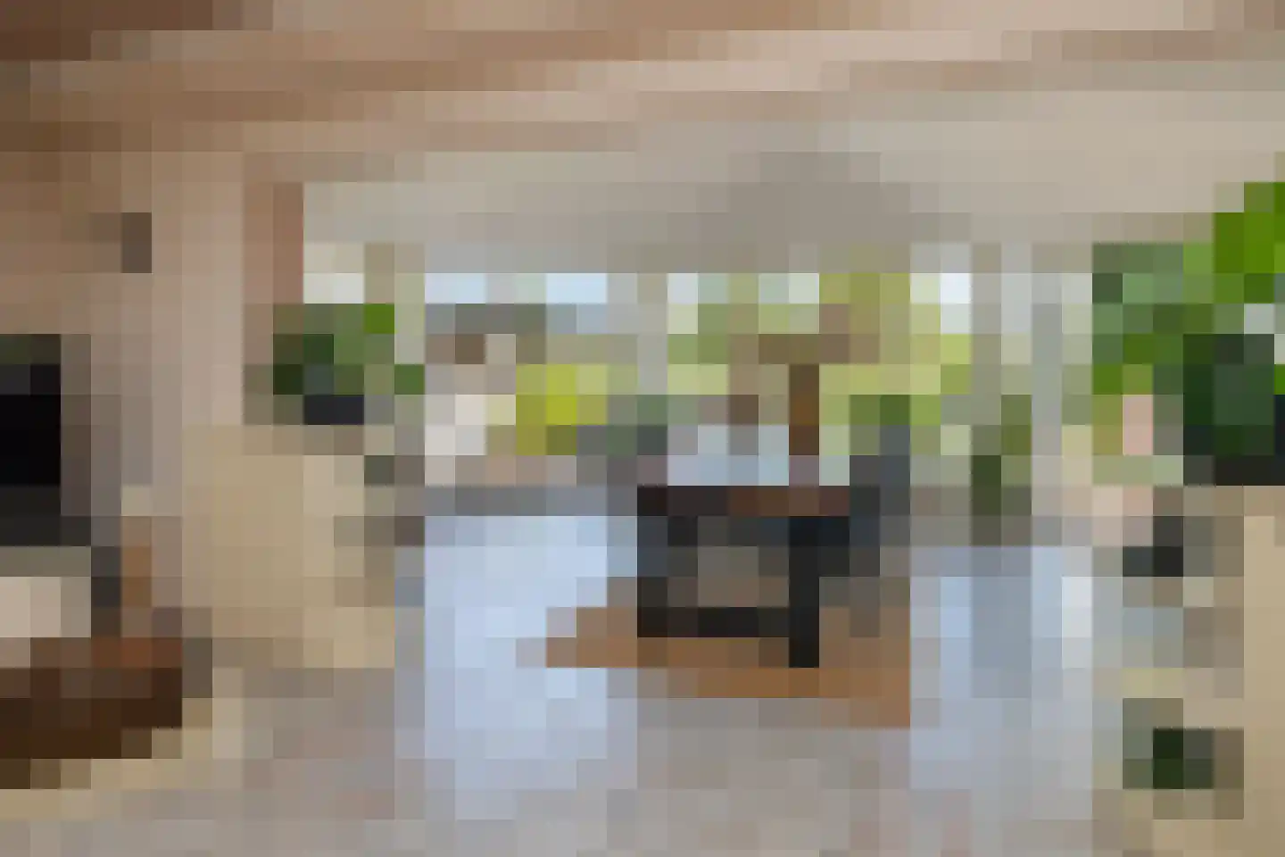 Achterambachtseweg 9 Hendrik-Ido-Ambacht thumbnail 23