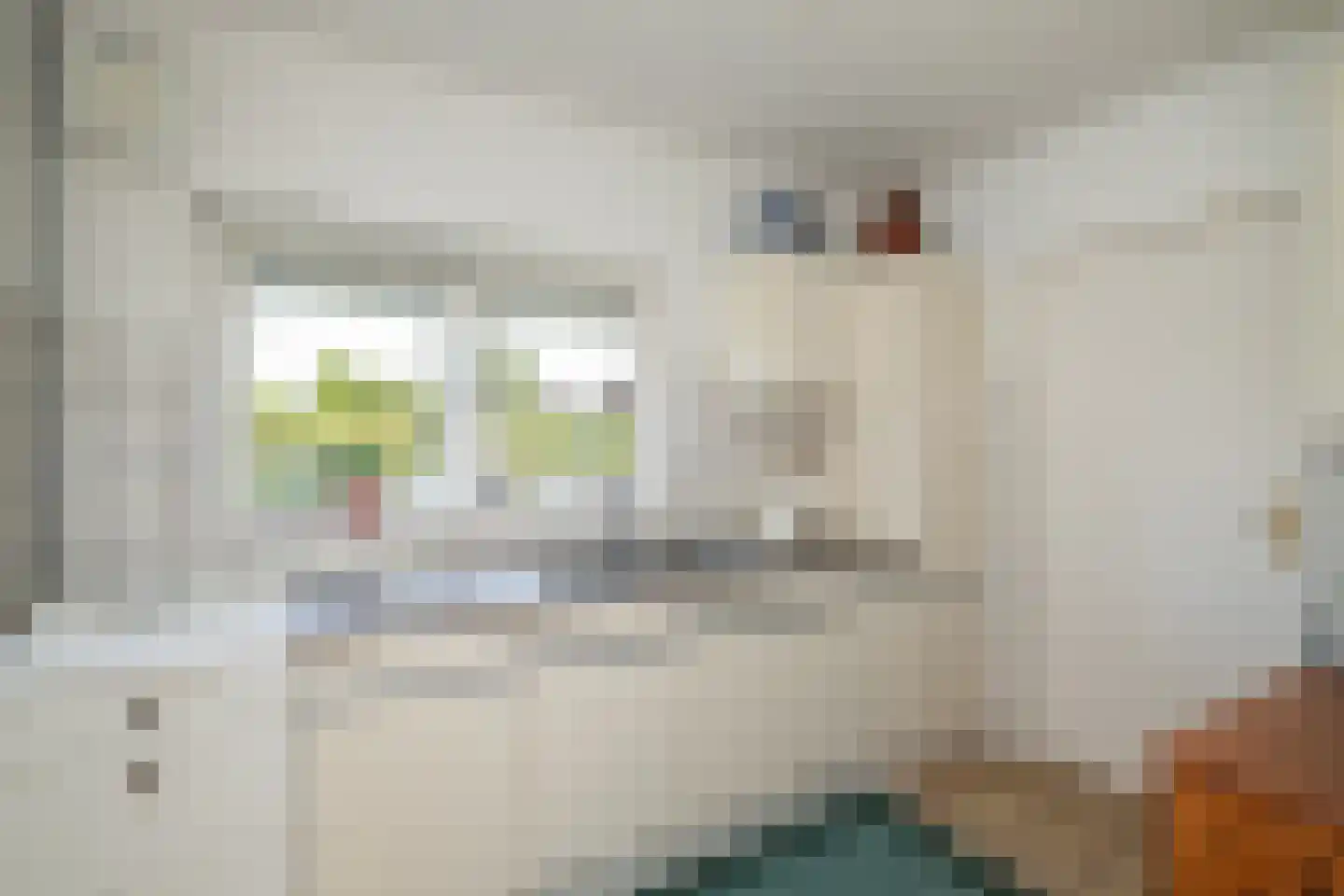 Achterambachtseweg 9 Hendrik-Ido-Ambacht thumbnail 42