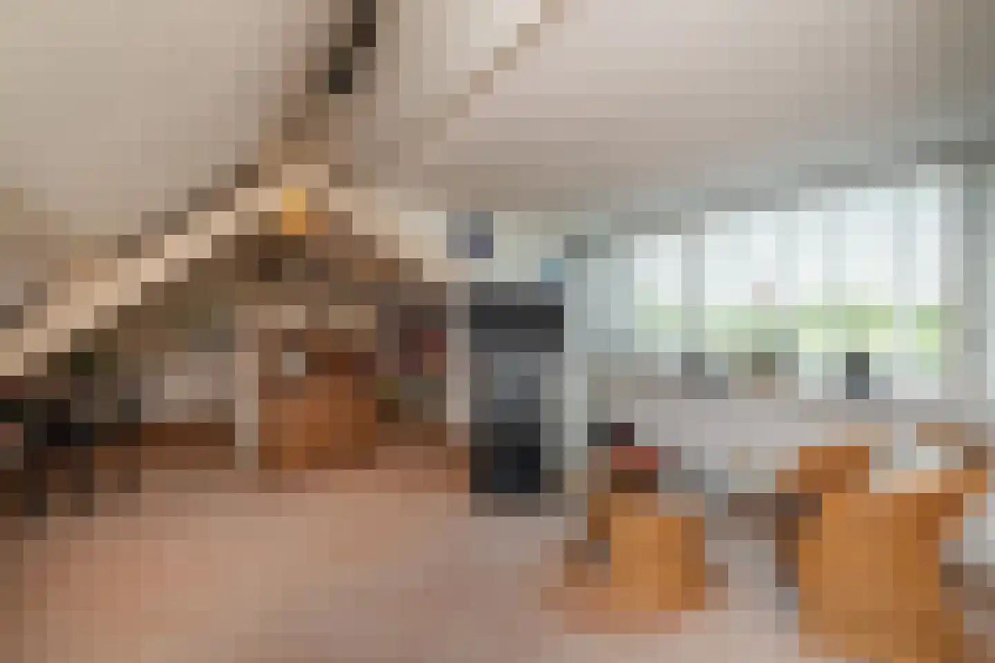 Achterambachtseweg 9 Hendrik-Ido-Ambacht thumbnail 45