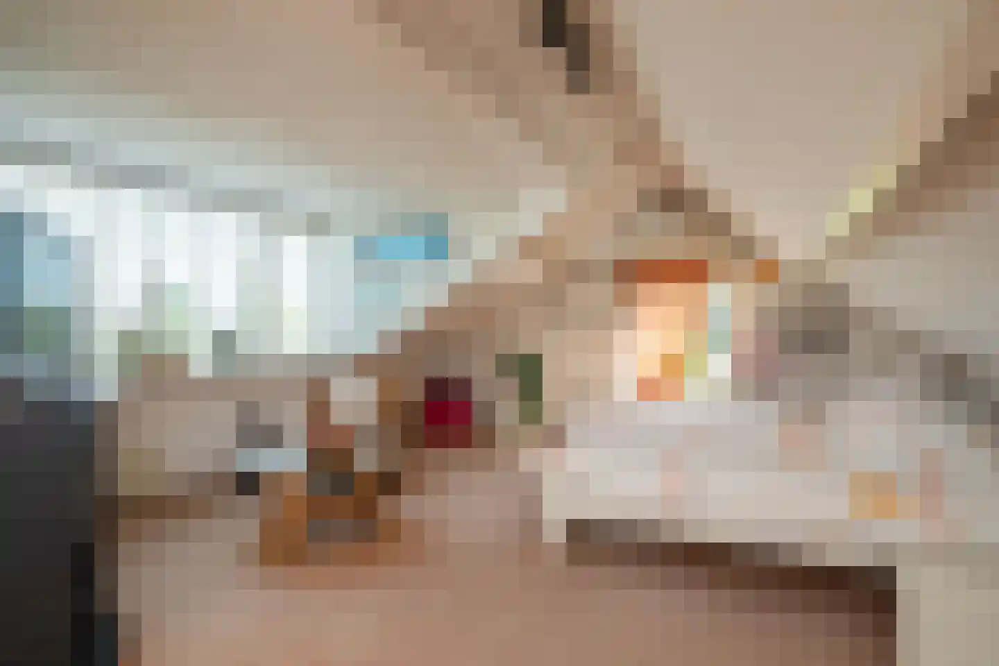 Achterambachtseweg 9 Hendrik-Ido-Ambacht thumbnail 46