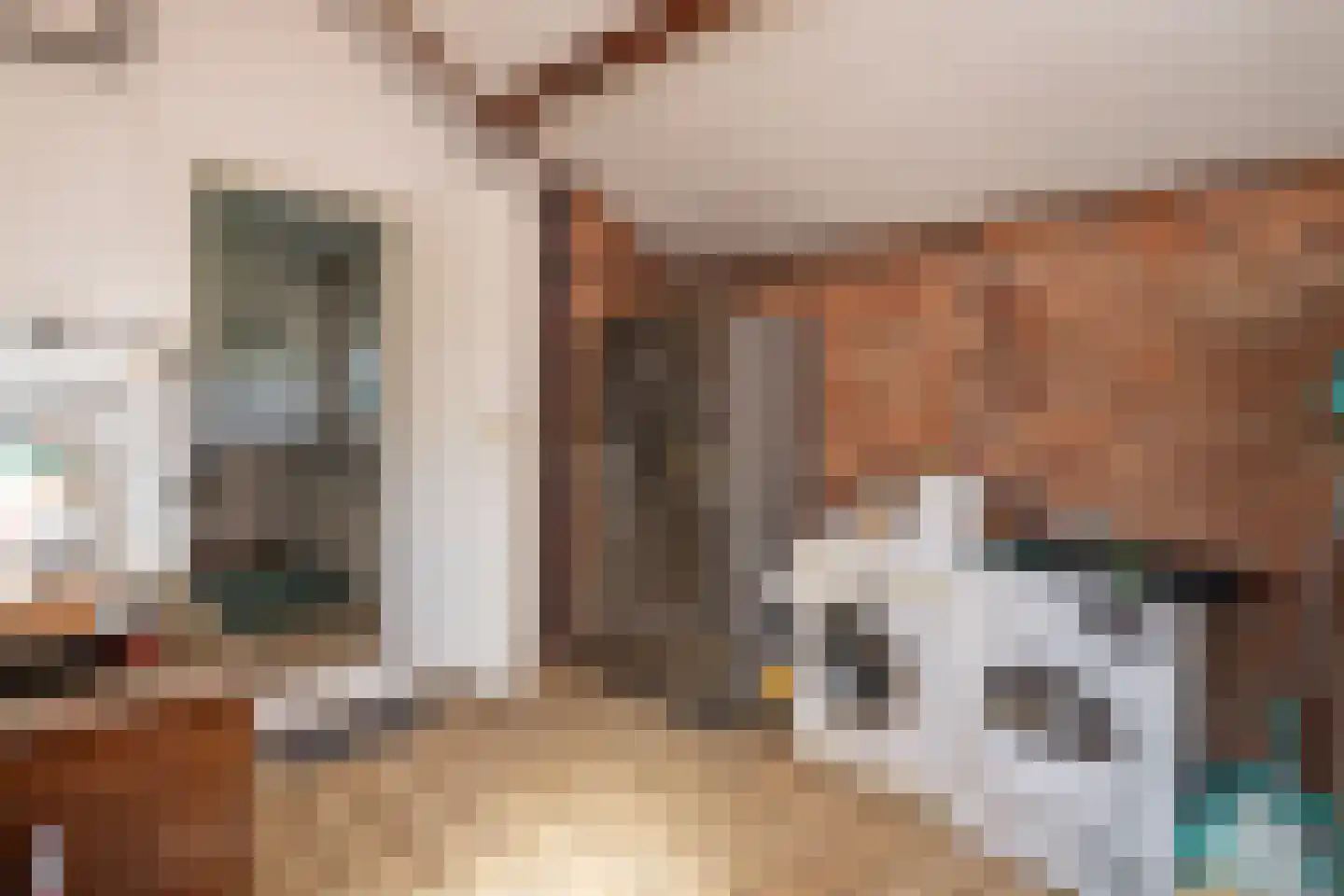 Achterambachtseweg 9 Hendrik-Ido-Ambacht thumbnail 47