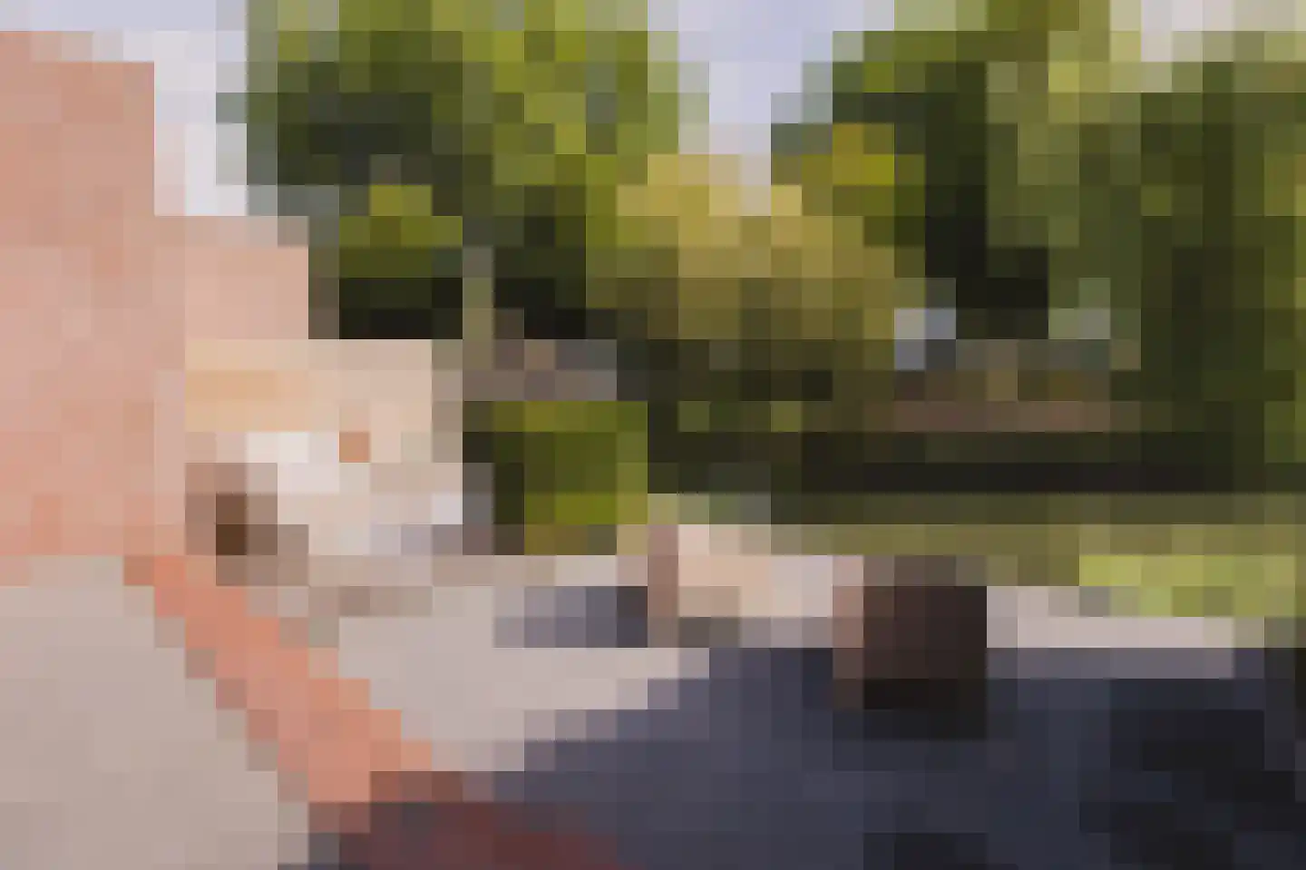 Achterbaan 13 a Montfoort thumbnail 12