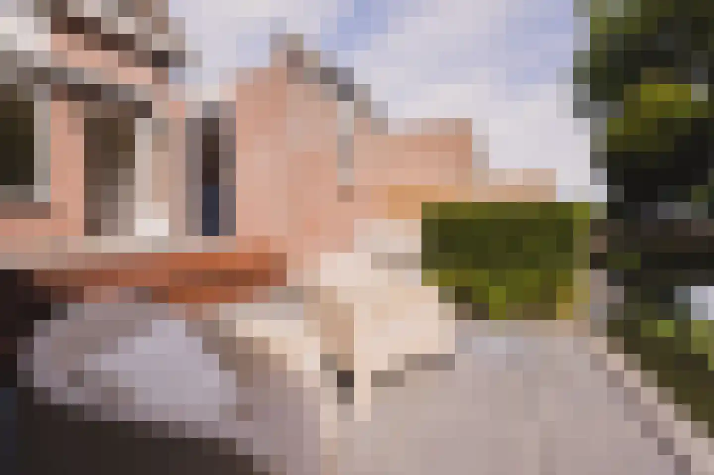 Achterbaan 13 a Montfoort thumbnail 15