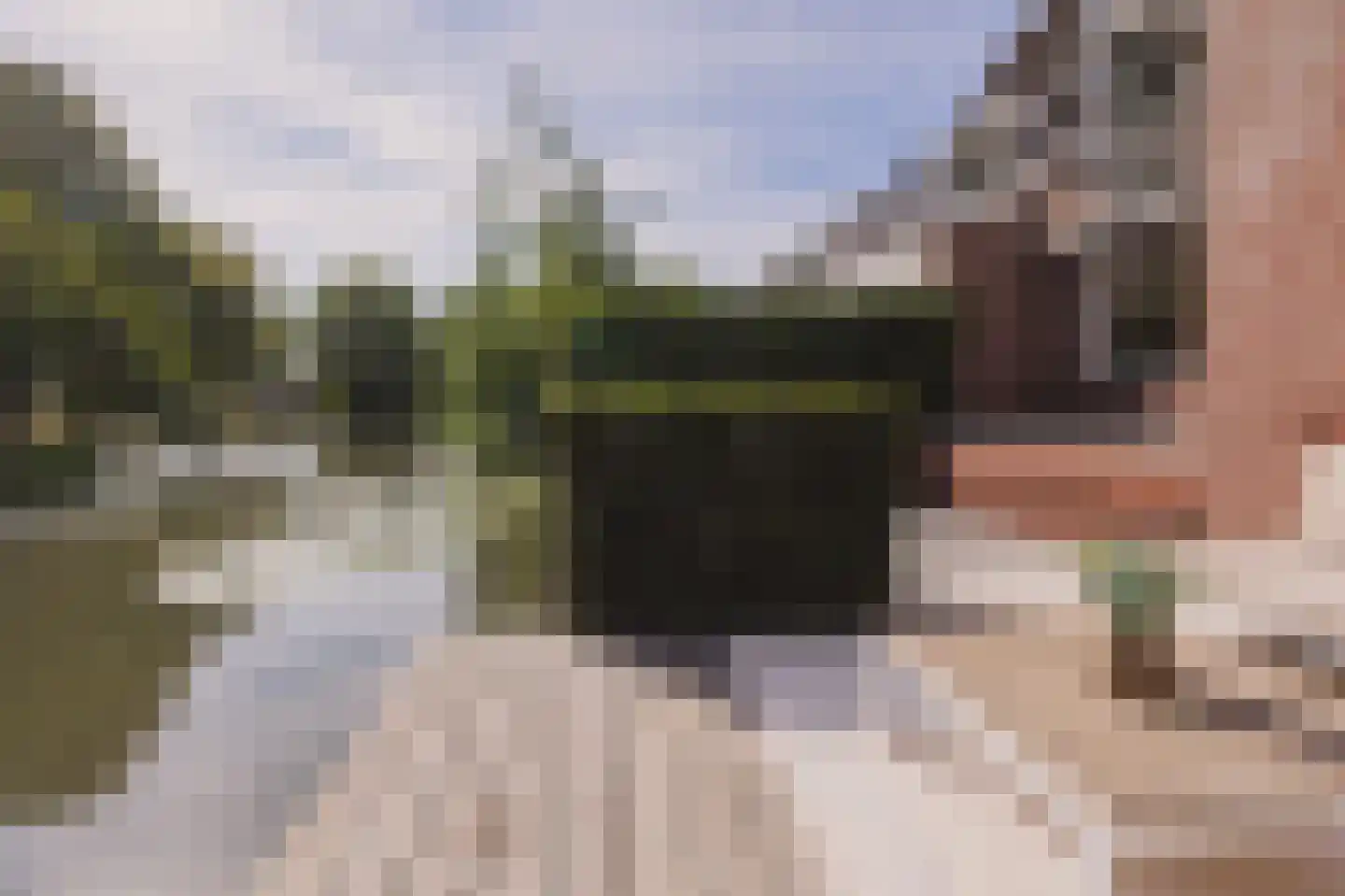 Achterbaan 13 a Montfoort thumbnail 16