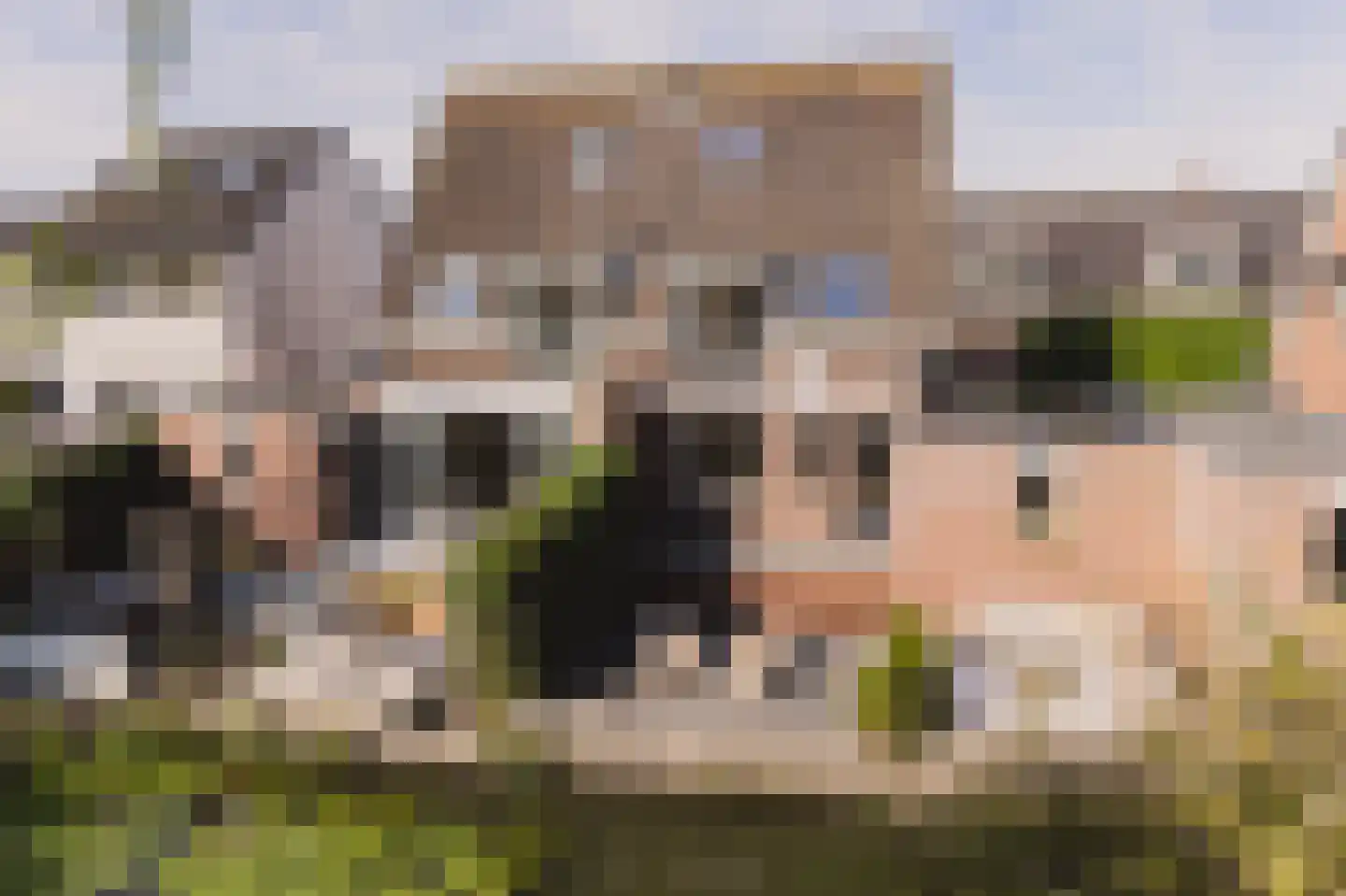 Achterbaan 13 a Montfoort thumbnail 60