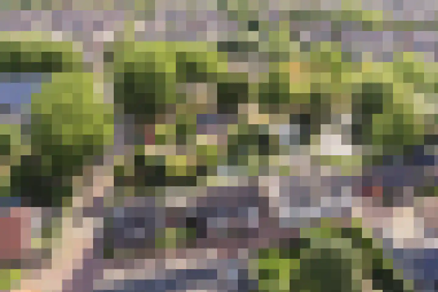 Achterbaan 13 a Montfoort thumbnail 62