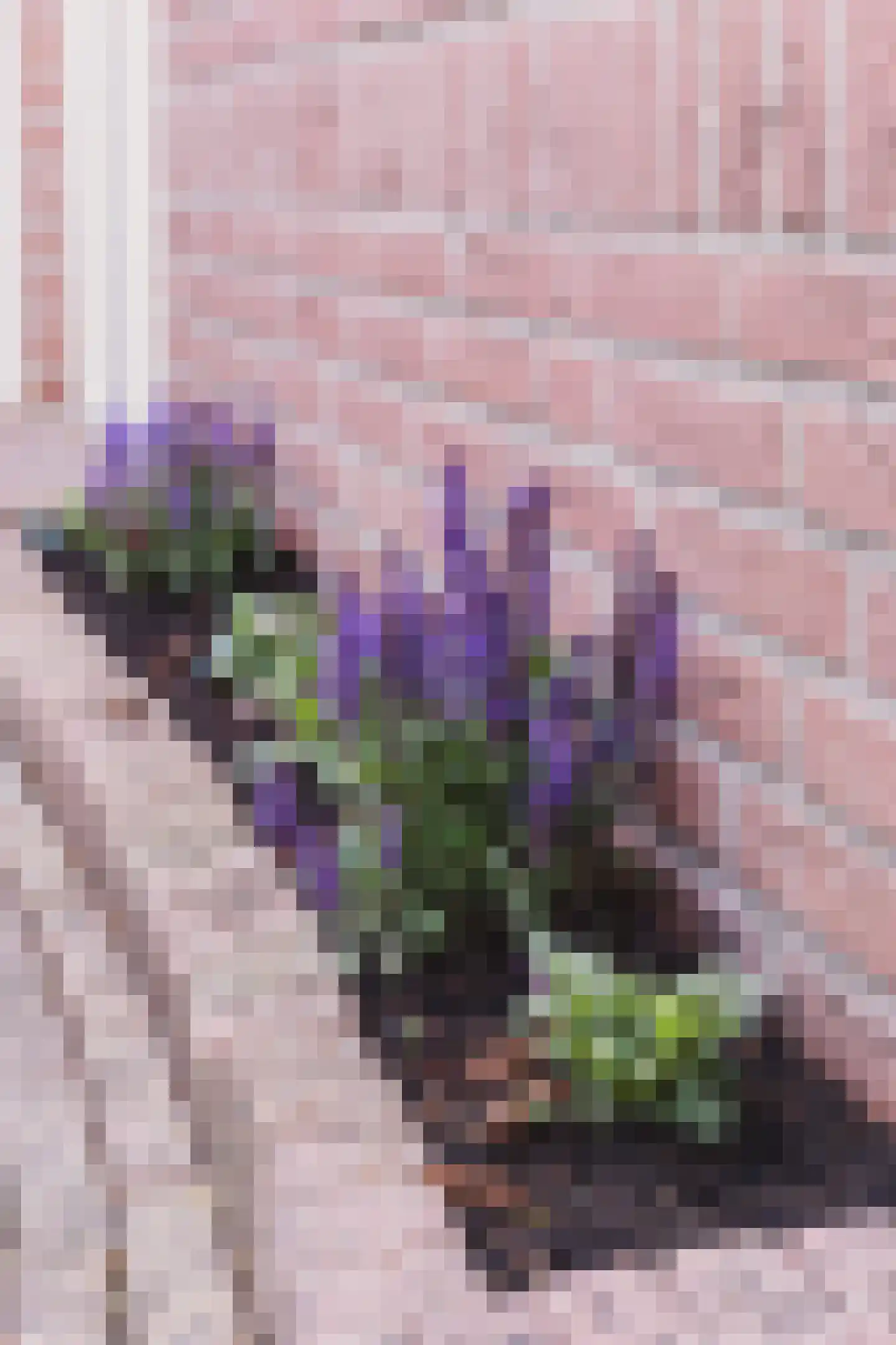 Achterbaan 13 a Montfoort thumbnail 8