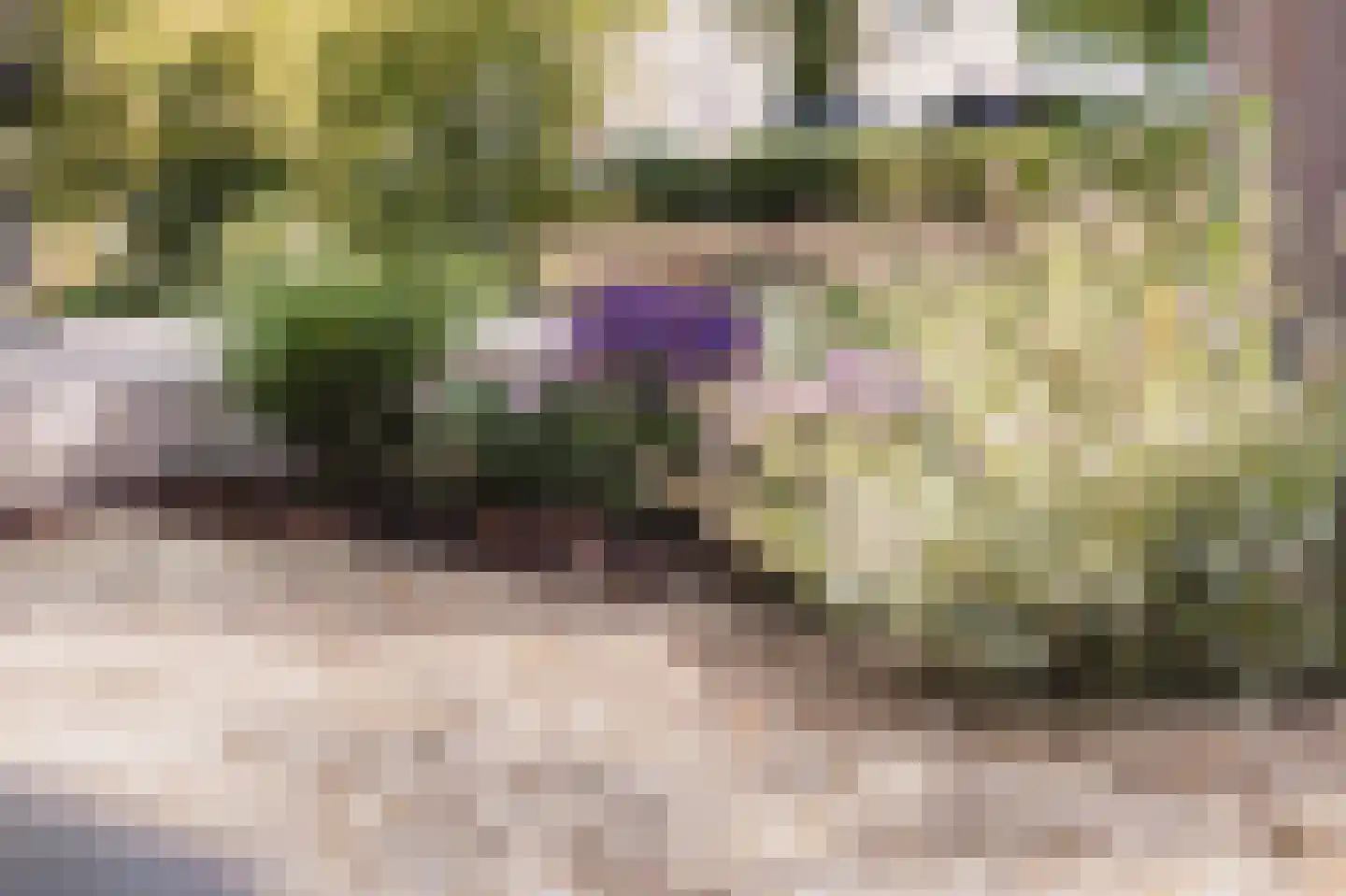 Achterbaan 13 b Montfoort thumbnail 21
