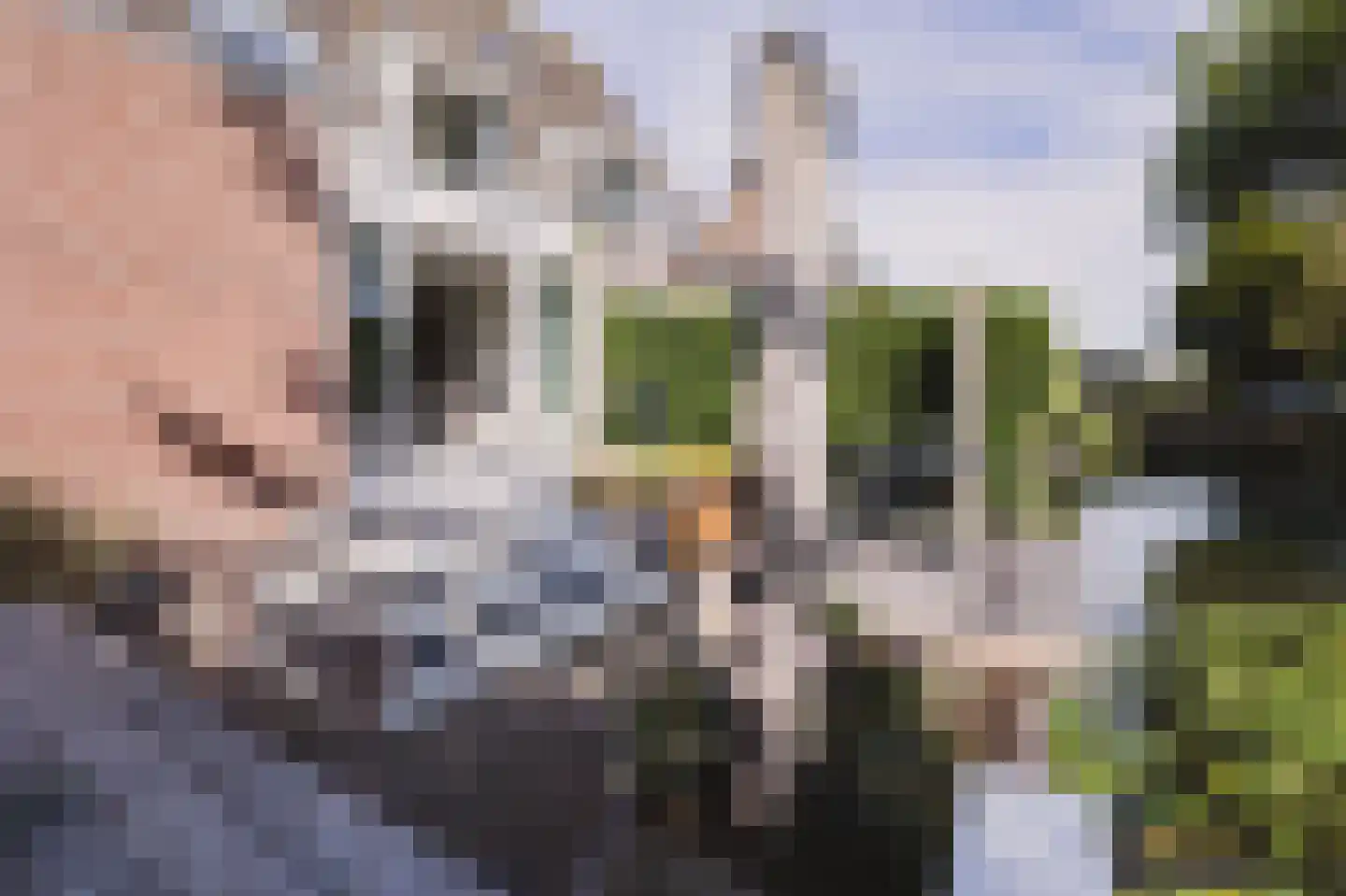 Achterbaan 13 b Montfoort thumbnail 22