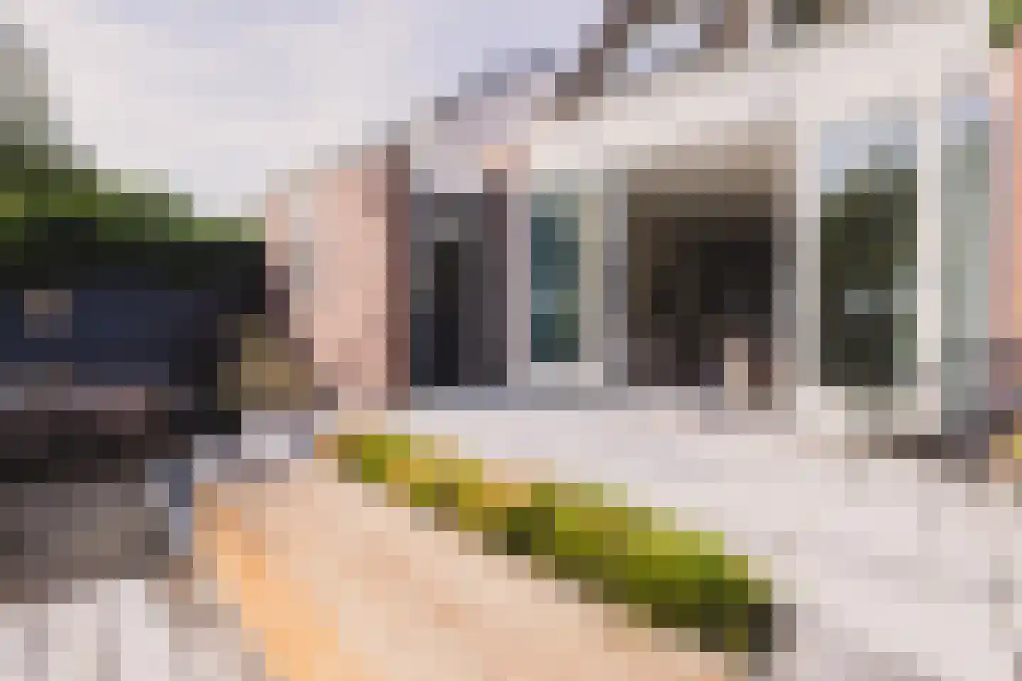 Achterbaan 13 b Montfoort thumbnail 26