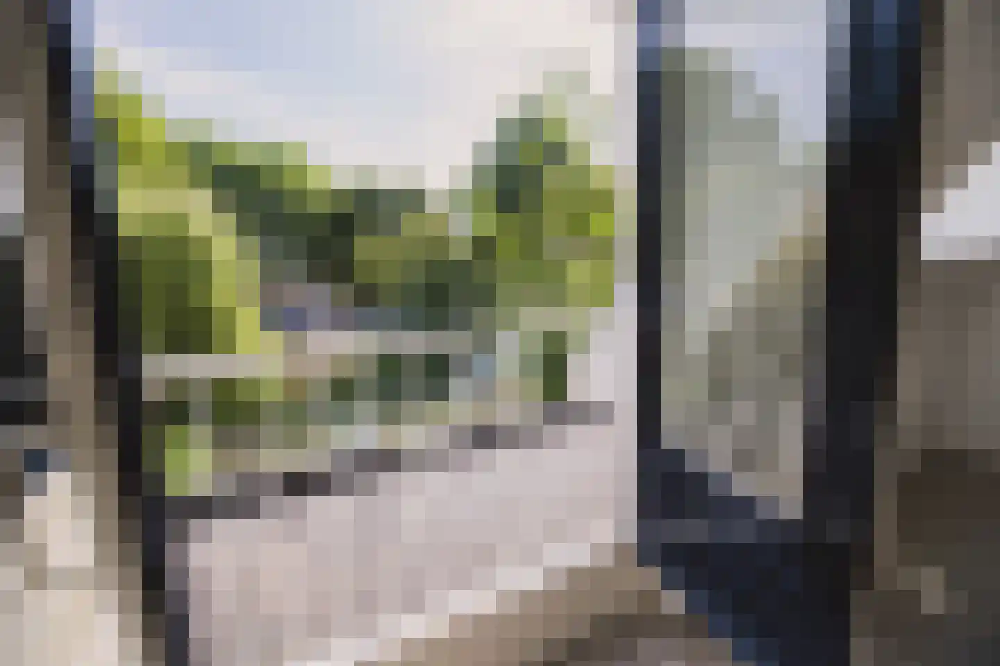Achterbaan 13 b Montfoort thumbnail 39