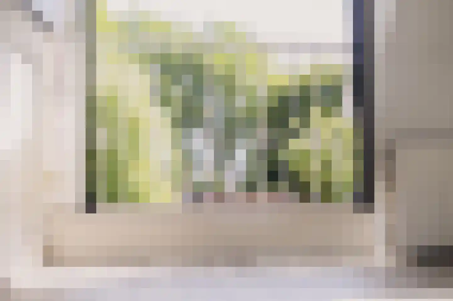 Achterbaan 13 b Montfoort thumbnail 40