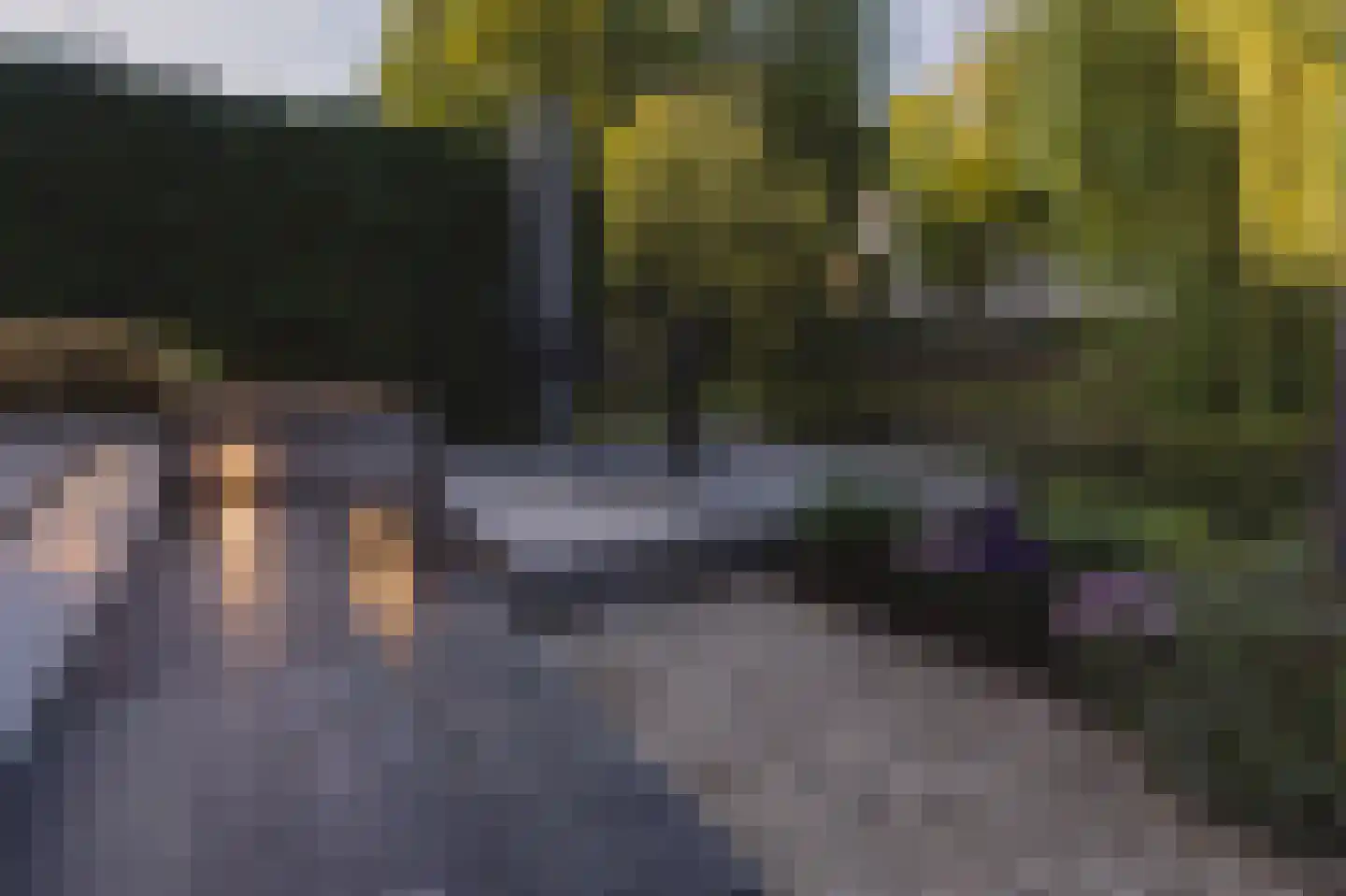 Achterbaan 13 b Montfoort thumbnail 59
