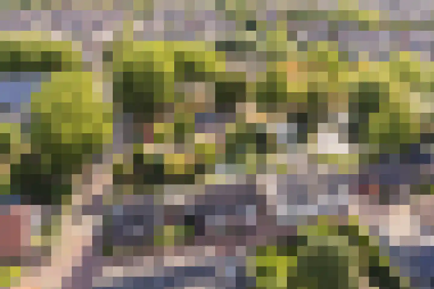 Achterbaan 13 b Montfoort thumbnail 64