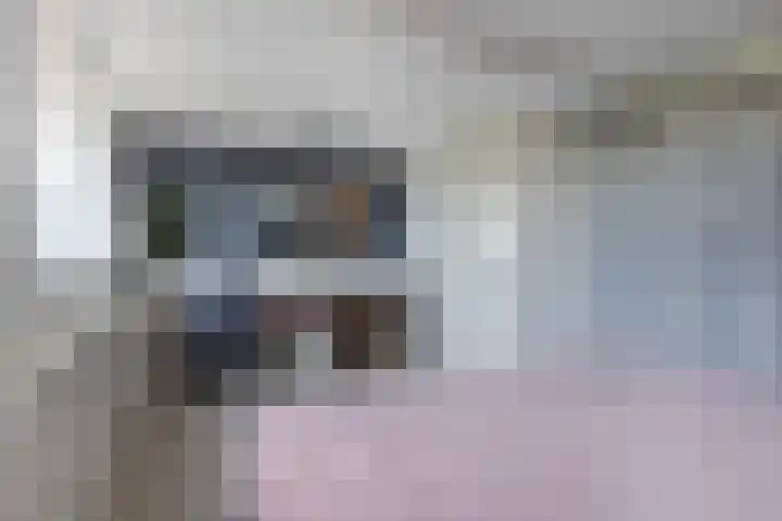 Achterbaan 15 Montfoort thumbnail 16