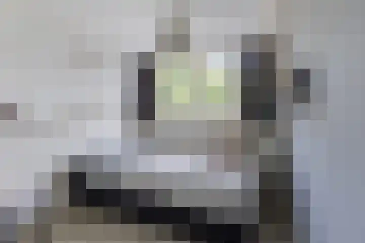 Achterbaan 15 Montfoort thumbnail 17