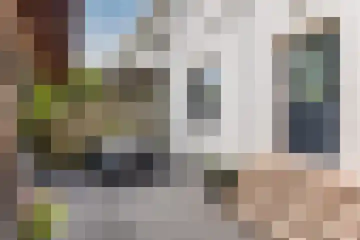 Achterbaan 15 Montfoort thumbnail 24