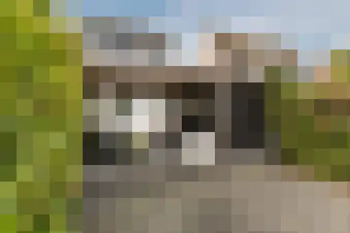 Achterbaan 15 Montfoort thumbnail 26