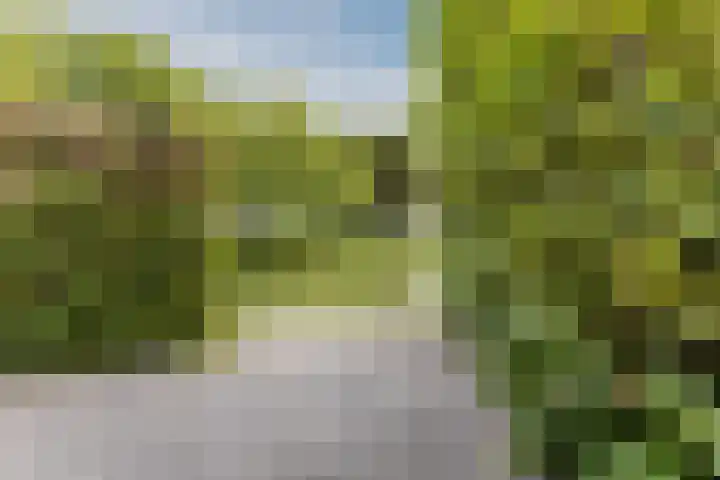 Achterbaan 15 Montfoort thumbnail 27