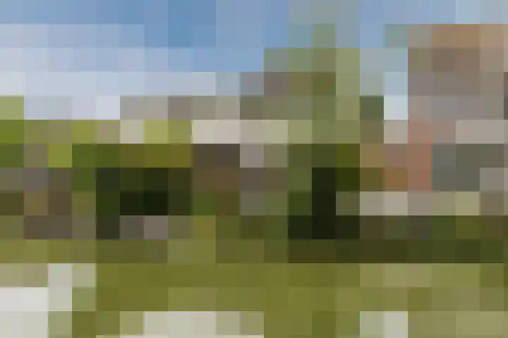 Achterbaan 15 Montfoort thumbnail 29