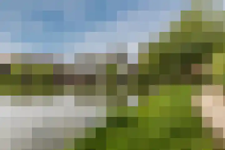 Achterbaan 15 Montfoort thumbnail 30
