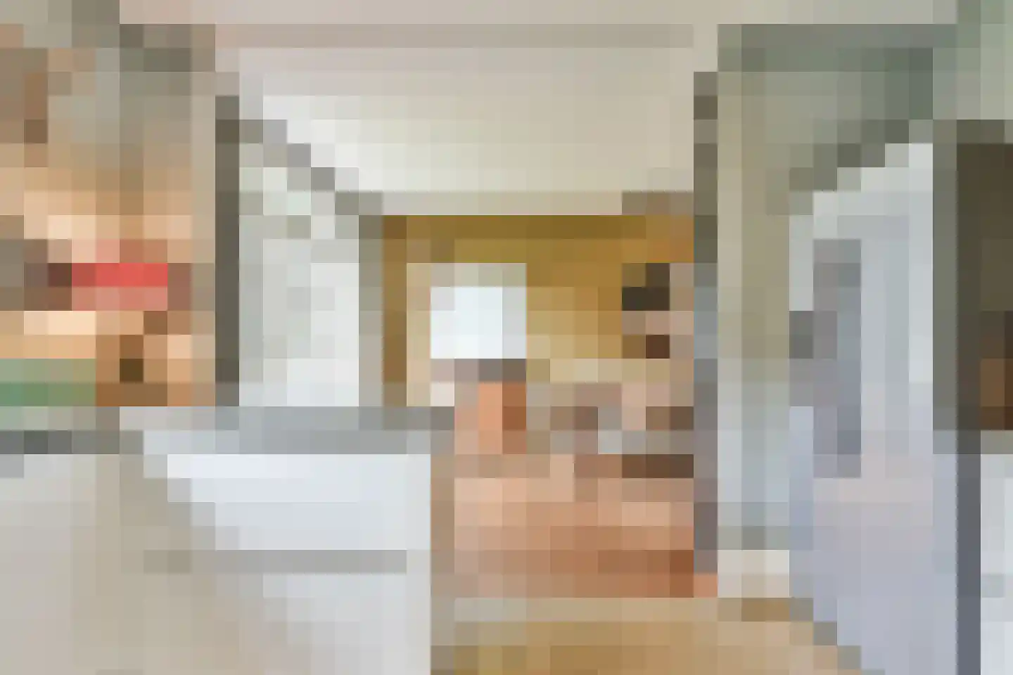 Achterbaan 89 Huizen thumbnail 11