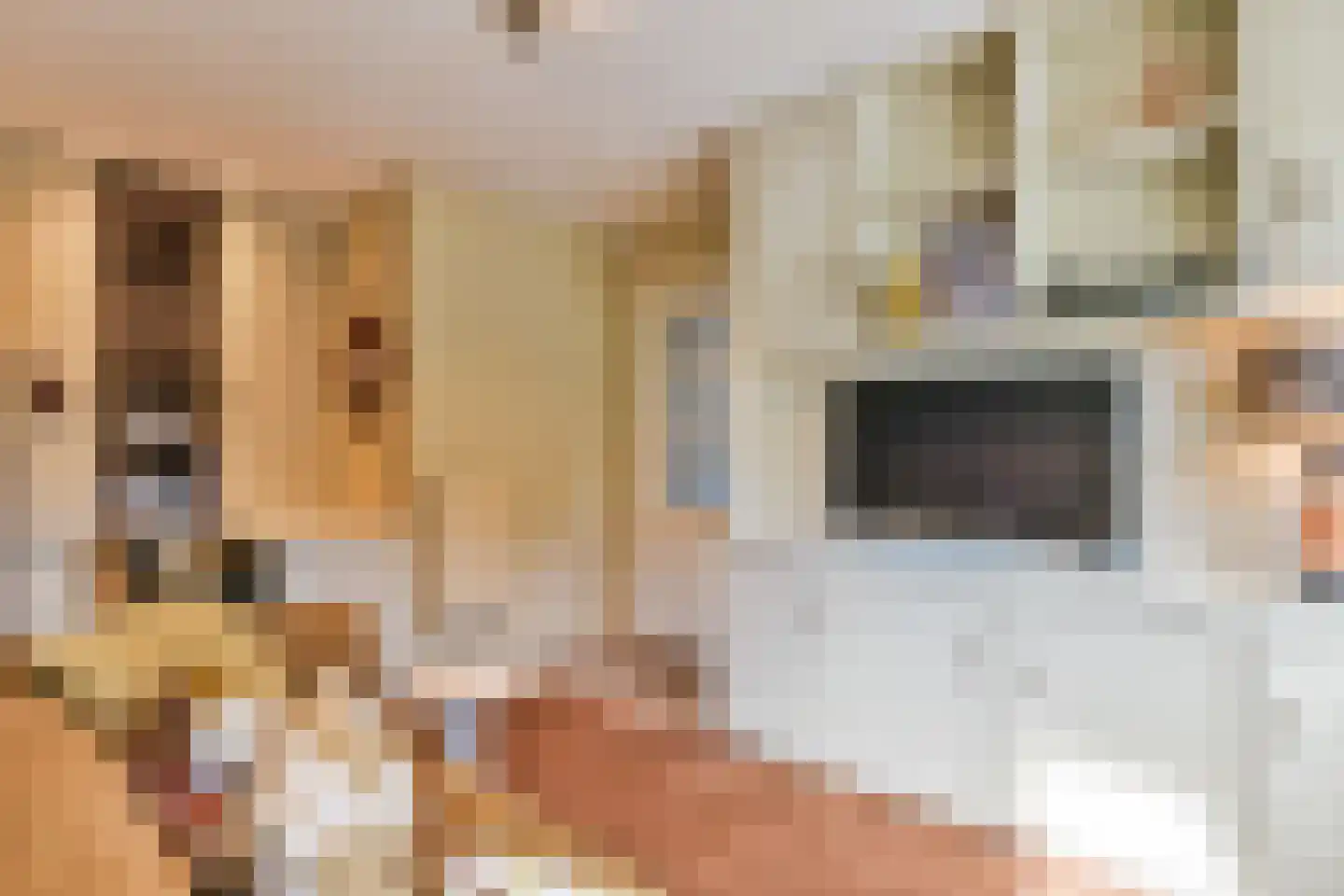 Achterbaan 89 Huizen thumbnail 17
