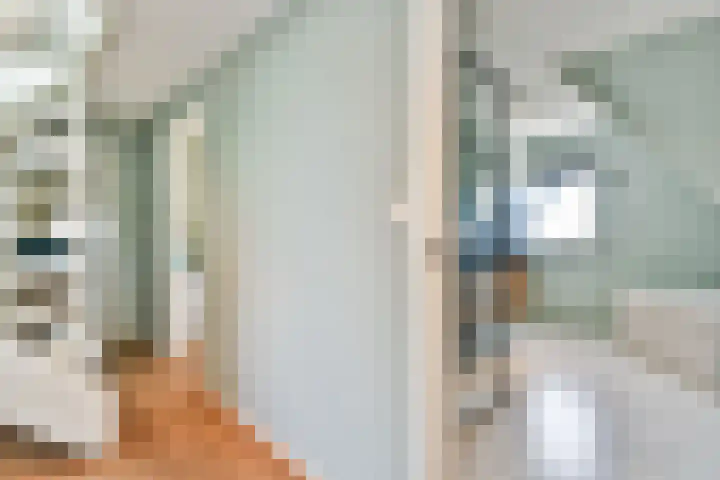 Achterbaan 89 Huizen thumbnail 18