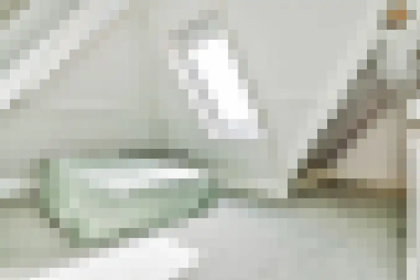 Achterbaan 89 Huizen thumbnail 31