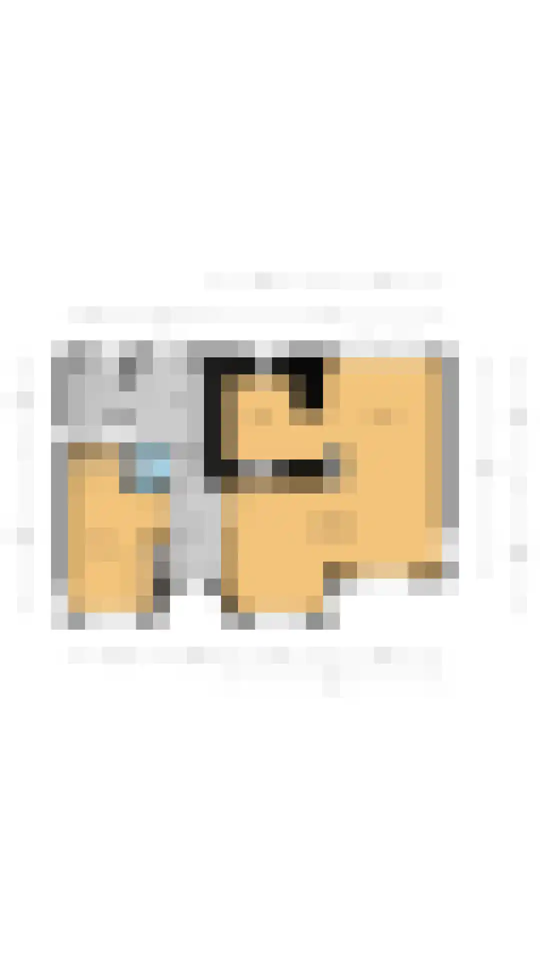 Achterbaan 89 Huizen thumbnail 38