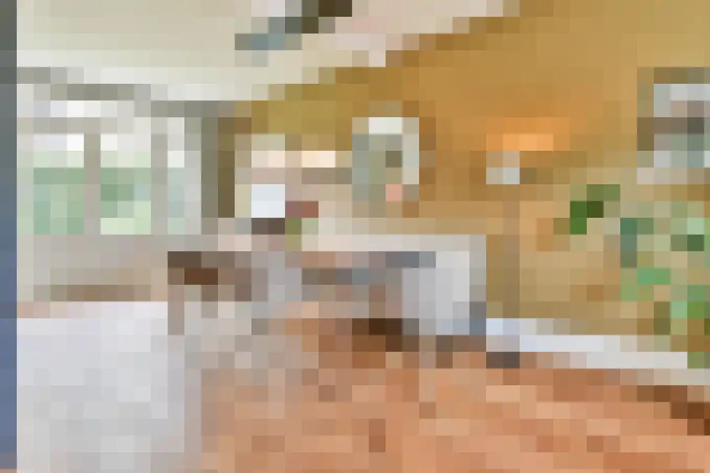 Achterbaan 89 Huizen thumbnail 7