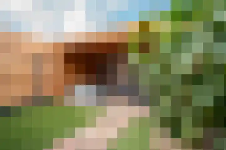 Achterberg 11 Roosendaal thumbnail 14