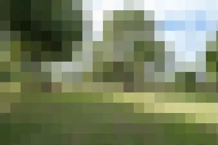 Achterberg 11 Roosendaal thumbnail 29