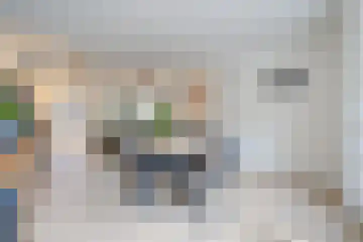 Achterberg 11 Roosendaal thumbnail 6
