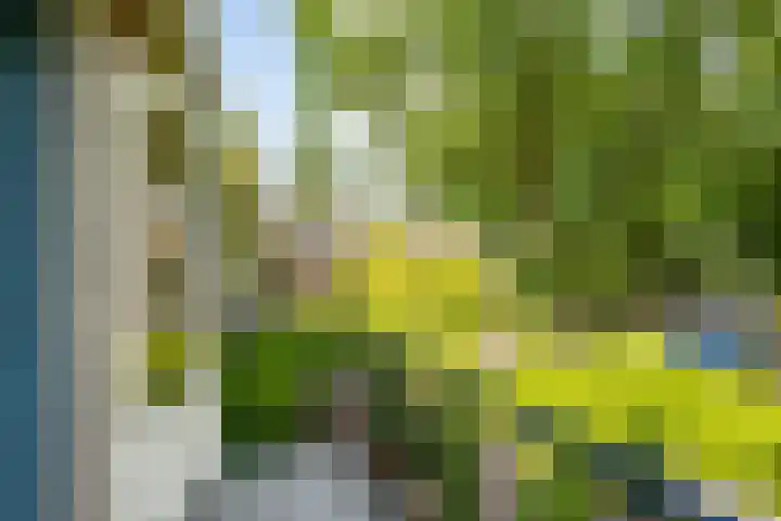 Achterberghof 6 Haren Gn thumbnail 38
