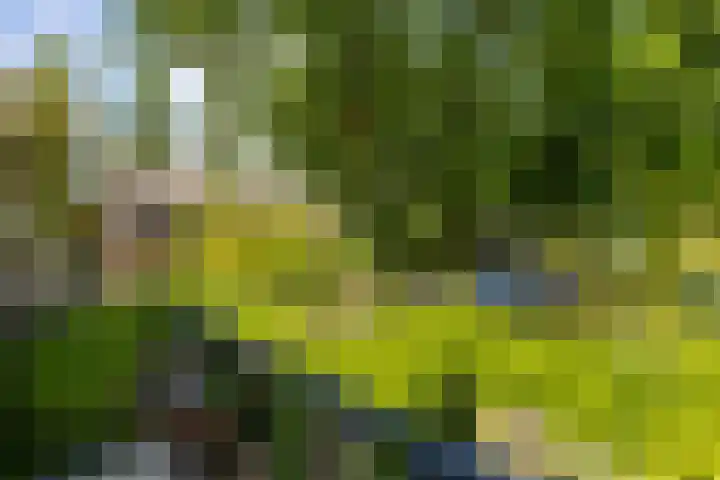 Achterberghof 6 Haren Gn thumbnail 39