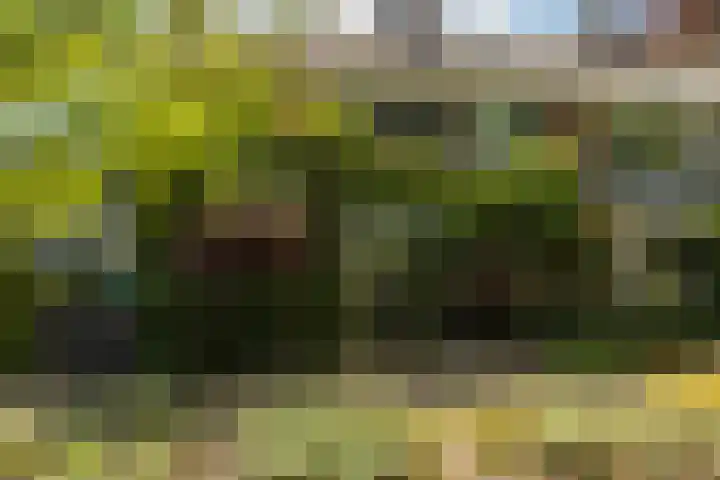 Achterberghof 6 Haren Gn thumbnail 4