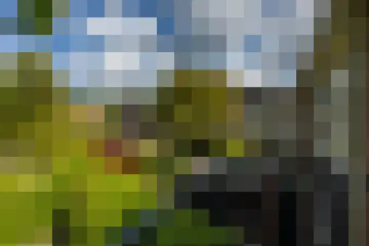 Achterberghof 6 Haren Gn thumbnail 40