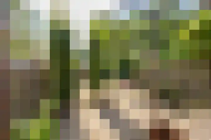 Achterberghof 6 Haren Gn thumbnail 48