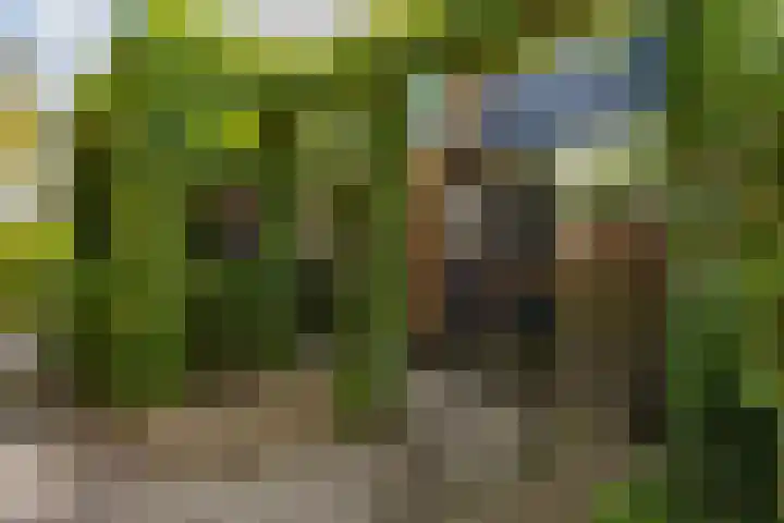 Achterberghof 6 Haren Gn thumbnail 5